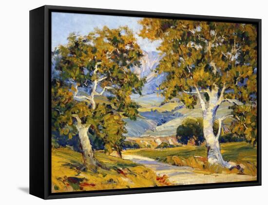 Sycamore Valley-Joane Cromwell-Framed Stretched Canvas