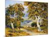 Sycamore Valley-Joane Cromwell-Mounted Art Print