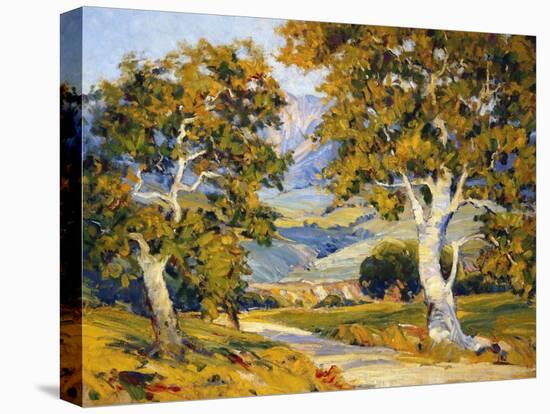Sycamore Valley-Joane Cromwell-Stretched Canvas