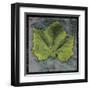 Sycamore-John Golden-Framed Art Print