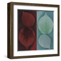 Sycamore-Jane Ann Butler-Framed Giclee Print