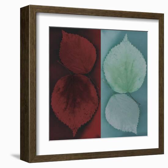 Sycamore-Jane Ann Butler-Framed Giclee Print