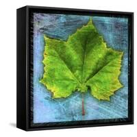 Sycamore-John W Golden-Framed Stretched Canvas