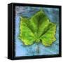 Sycamore-John W Golden-Framed Stretched Canvas