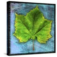 Sycamore-John W Golden-Stretched Canvas