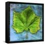 Sycamore-John W Golden-Framed Stretched Canvas