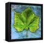 Sycamore-John W Golden-Framed Stretched Canvas