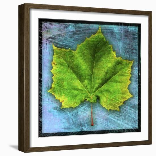 Sycamore-John W Golden-Framed Giclee Print