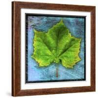 Sycamore-John W Golden-Framed Giclee Print