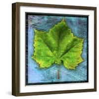 Sycamore-John W Golden-Framed Giclee Print