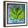 Sycamore-John W Golden-Framed Giclee Print