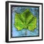 Sycamore-John W Golden-Framed Giclee Print