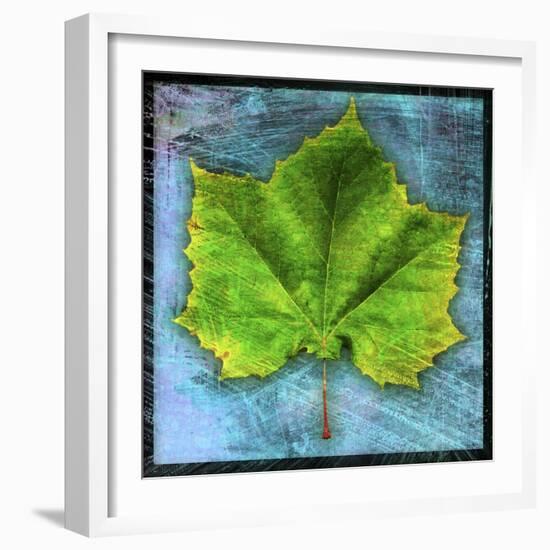 Sycamore-John W Golden-Framed Giclee Print