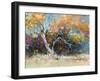 Sycamore-Julie G. Pollard-Framed Art Print