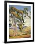 Sycamores-Aaron Kilpatrick-Framed Art Print