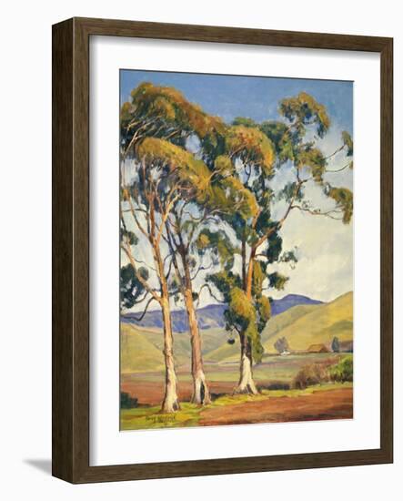 Sycamores-Aaron Kilpatrick-Framed Art Print