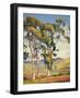 Sycamores-Aaron Kilpatrick-Framed Art Print