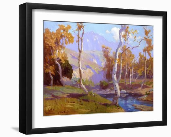 Sycamores-Marion Wachtel-Framed Art Print