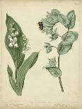 Cottage Florals IV-Sydenham Teast Edwards-Art Print