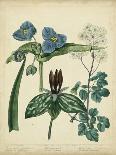 Cottage Florals I-Sydenham Teast Edwards-Art Print