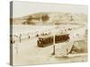 Sydney, Australia � Coogee Beach-null-Stretched Canvas