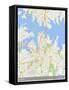 Sydney, Australia Map-null-Framed Stretched Canvas