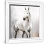 Gramercy White