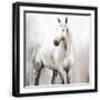 Black Frame