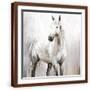 Brown Frame