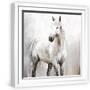 White Frame