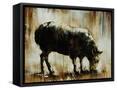 Canvas Black