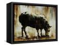 Canvas Black