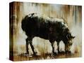 Stretched Canvas