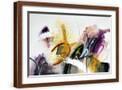 Brown Frame