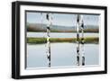 Black Frame