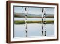 Brown Frame