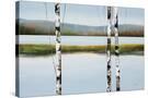 Stretched Canvas