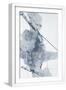 White Frame