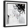 Black Frame