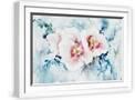 White Frame