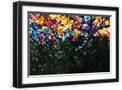 Black Frame