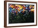 Brown Frame