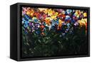 Canvas Black