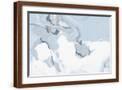 Brown Frame