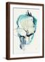 Brown Frame