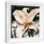 White Frame