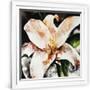 Gramercy White
