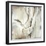 Black Frame