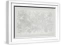 White Frame