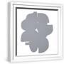 White Frame